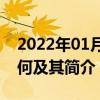 2022年01月28日整理发布：悦翔S版性能如何及其简介