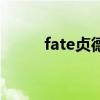 fate贞德（关于fate贞德的介绍）