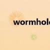 wormhole（关于wormhole的介绍）