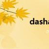 dasha（关于dasha的介绍）