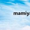 mamiya（关于mamiya的介绍）