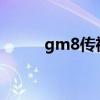gm8传祺2021款（gm8修改器）