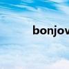 bonjovi（关于bonjovi的介绍）