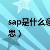 sap是什么意思是财务软件吗（sap是什么意思）