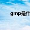 gmp是什么意思（gnp是什么意思）