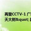 再登CCTV-1 广联达：汇聚全球力量建造数字化"参天大树" 具体是什么情况?