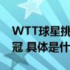 WTT球星挑战赛兰州站：王楚钦战胜马龙夺冠 具体是什么情况?
