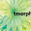 tmorph7.3更新了吗（tmorph）