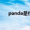 panda是什么意思（pad是什么意思）