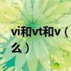 vi和vt和v（vt与vi分别是什么意思 区分是什么）
