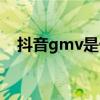 抖音gmv是什么意思（gmv是什么意思）