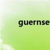 guernsey woollens（guernsey）
