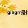 gingrr是什么意思（GRR是什么意思）
