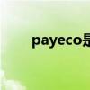 payeco是什么平台支付（payeco）