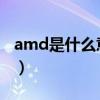amd是什么意思中文翻译（AMD是什么意思）