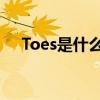 Toes是什么意思 翻译（T0是什么意思）