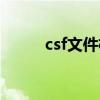 csf文件格式（csf文件怎么打开）