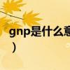 gnp是什么意思宏观经济学（gnp是什么意思）