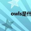owls是什么意思（owl是什么意思）