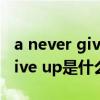 a never give up是什么意思（never ever give up是什么意思）