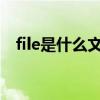 file是什么文件夹（hotfix是什么文件夹）